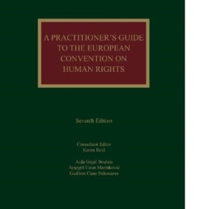 A Practitioner's Guide to the European Convention on Human Rights