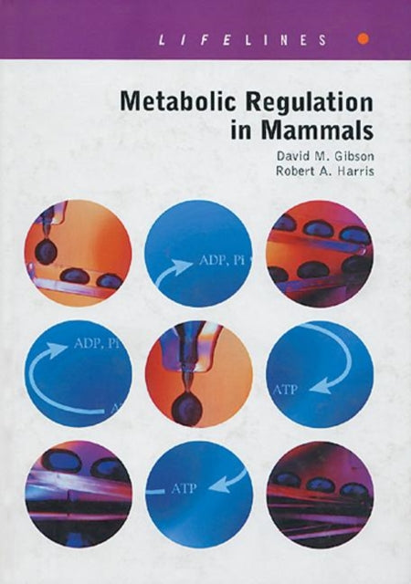 Metabolic Regulation in Mammals