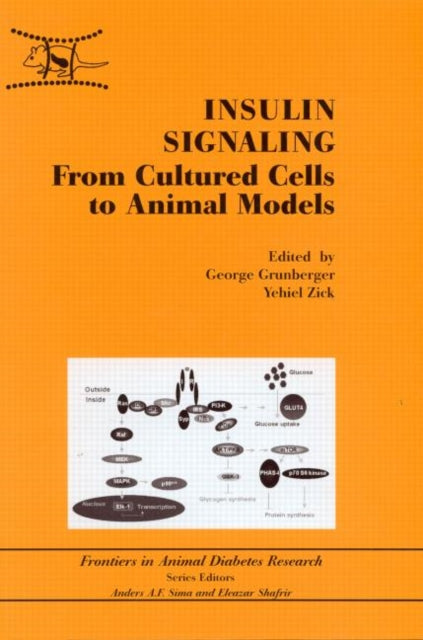 Insulin Signaling: From Cultured Cells to Animal Models