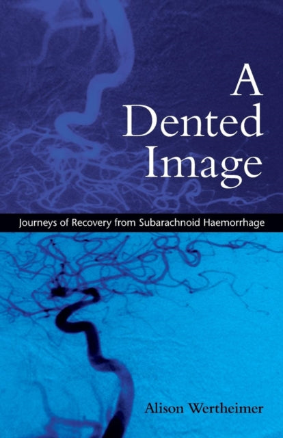 A Dented Image Journeys of Recovery from