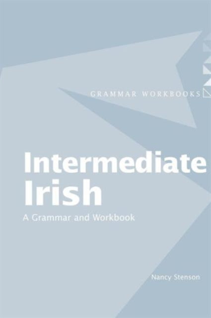 Intermediate Irish A Grammar and Workbook