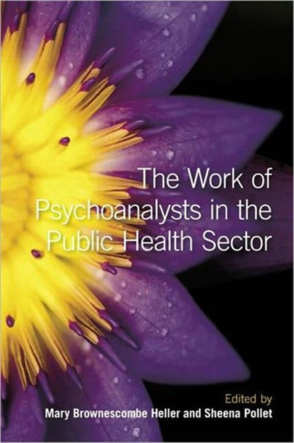 The Work of Psychoanalysts in the Public Health Sector