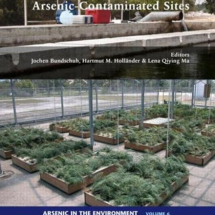 In-Situ Remediation of Arsenic-Contaminated Sites