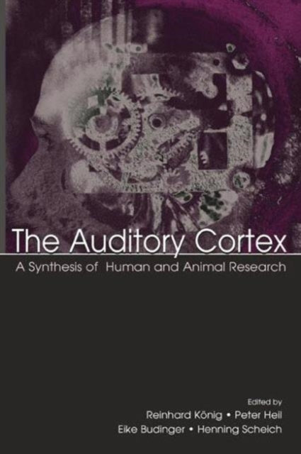 The Auditory Cortex: A Synthesis of Human and Animal Research