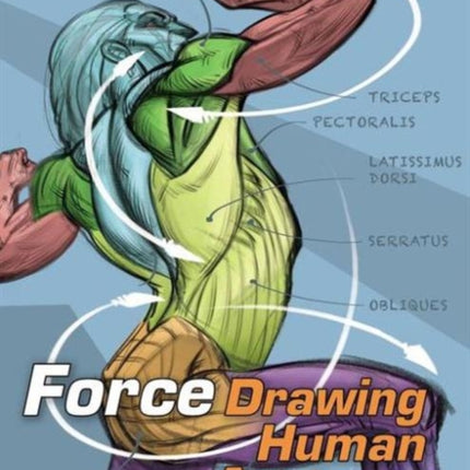 Force Drawing Human Anatomy