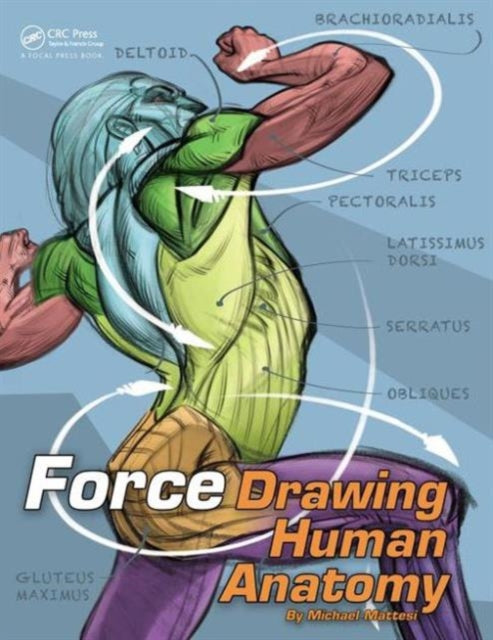 Force Drawing Human Anatomy