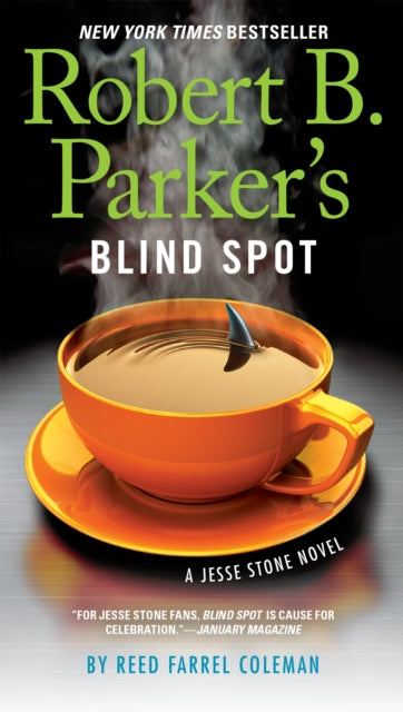 Robert B. Parkers Blind Spot