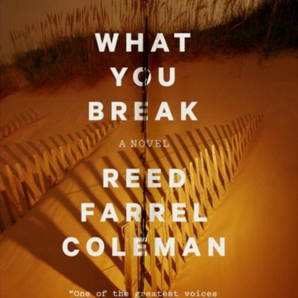 What You Break: A Gus Murphy Novel