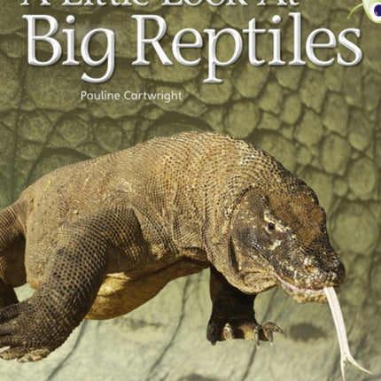 Bug Club Guided Non Fiction Year 1 Blue B A Little Look at Big Reptiles