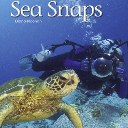 Bug Club Independent Non Fiction Year 1 Green A Sea Snaps