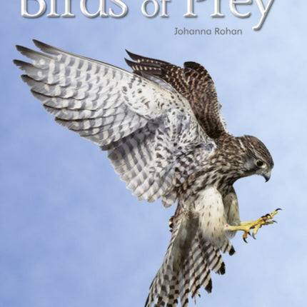 Bug Club Independent Non Fiction Year Two White A Birds of Prey