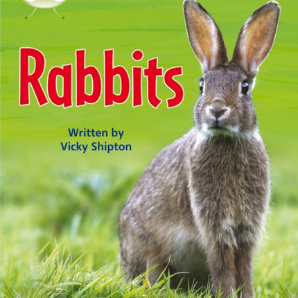 Bug Club Phonics  Phase 5 Unit 27 Rabbits