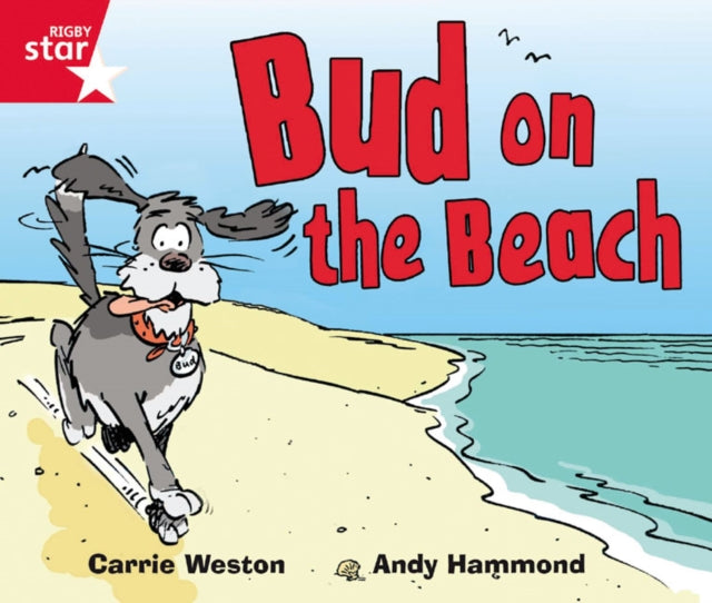 Rigby Star Guided Phonic Opportunity Readers Red: Bud On The Beach