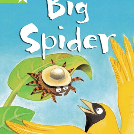 Rigby Star Guided Phonic Opportunity Readers