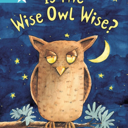 Rigby Star Guided 2, Turquoise Level: Is the Wise Owl Wise? Pupil Book (single)