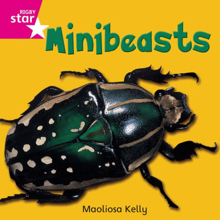 Rigby Star Independent Pink Reader 2 Minibeasts