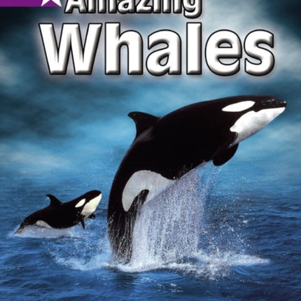 Rigby Star Independent Year 2 Purple Non Fiction: Amazing Whales Single