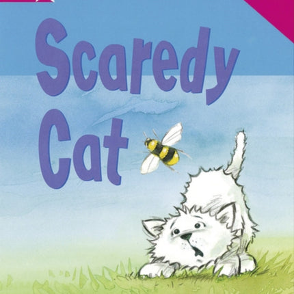 Rigby Star Guided Reading Pink Level Scaredy Cat