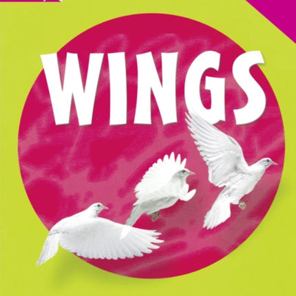 Rigby Star Nonfiction Guided Reading Pink Level