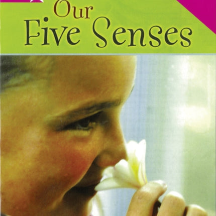 Rigby Star Nonfiction Guided Reading Pink Level