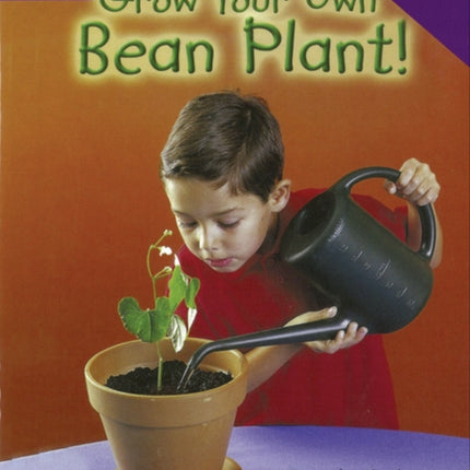 Rigby Star Nonfiction Guided Reading Purple Level