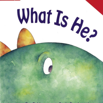Rigby Star Guided Reading Red Level What Is He