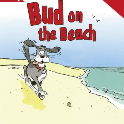 Rigby Star Phonic Guided Reading Red Level Bud on