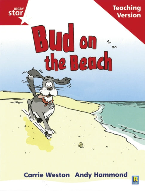 Rigby Star Phonic Guided Reading Red Level Bud on