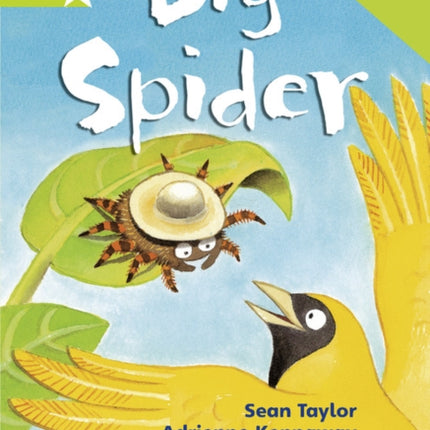 Rigby Star Phonic Guided Reading Green Level Big