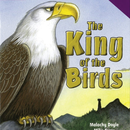 Rigby Star Guided Reading Purple Level The King