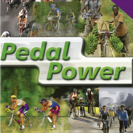 Rigby Star Nonfiction Guided Reading Purple Level
