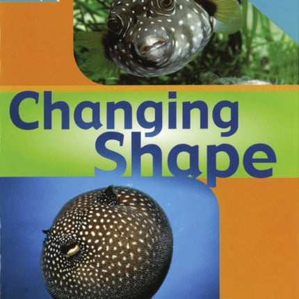 Rigby Star Nonfiction Turquoise Level Changing