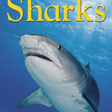 Sharks