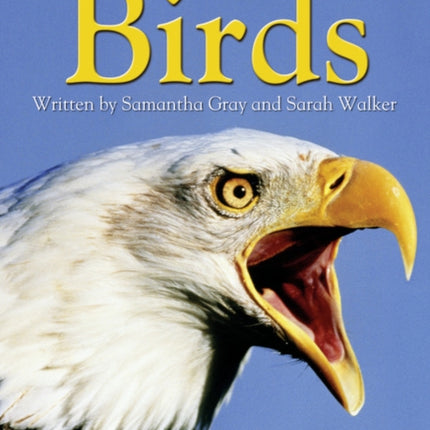 Birds