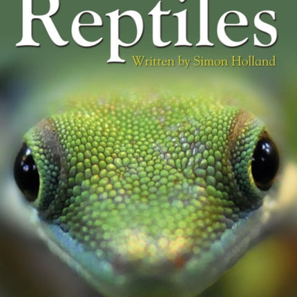 Reptiles