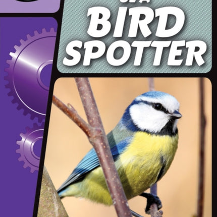 Rapid Phonics Step 3: Be a Bird Spotter (Non-fiction)