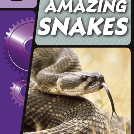 Rapid Phonics Step 3: Super Snakes (Non-fiction)