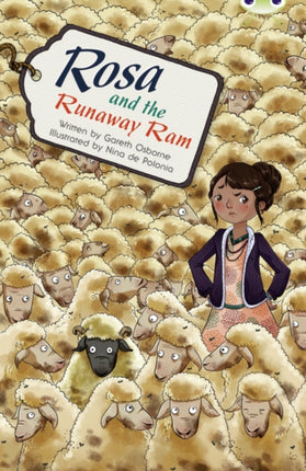 Bug Club Independent Fiction Year 5 Blue B Rosa