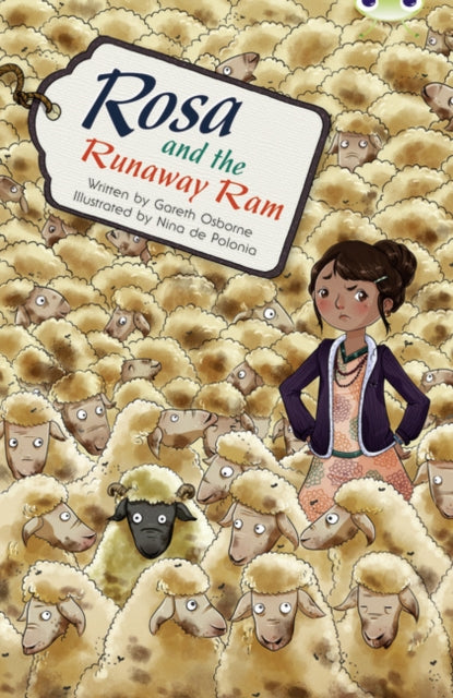 Bug Club Independent Fiction Year 5 Blue B Rosa