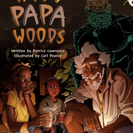 Bug Club Independent Fiction Year 6 Red B Wild Papa Woods