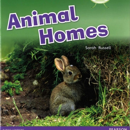 Bug Club Pink B Animal Homes 6pack