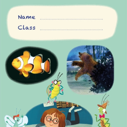 Bug Club Comprehension Y5 Term 2 Pupil Workbook 16pack