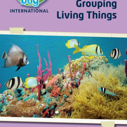 Science Bug: Grouping living things Workbook