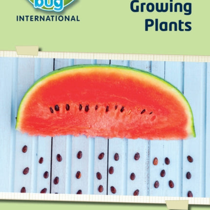 Science Bug: Growing plants Workbook