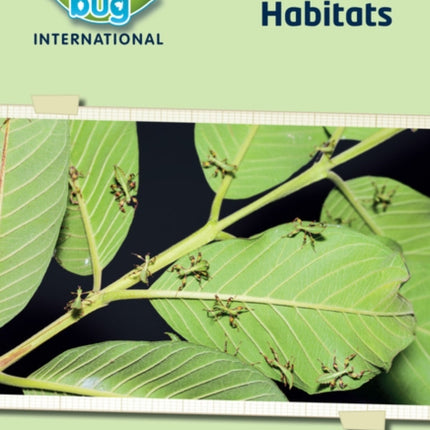 Science Bug: Habitats Workbook