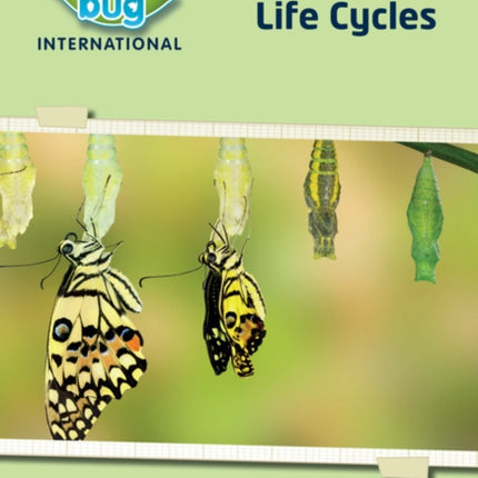 Science Bug: Life cycles Workbook