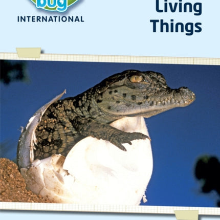 Science Bug: Living things Workbook