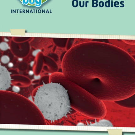 Science Bug: Our bodies Workbook