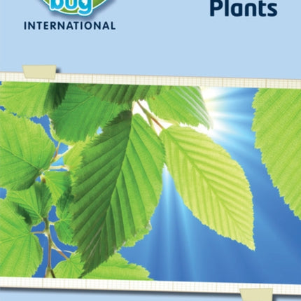 Science Bug: Plants Workbook