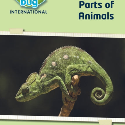 Science Bug: Parts of animals Workbook